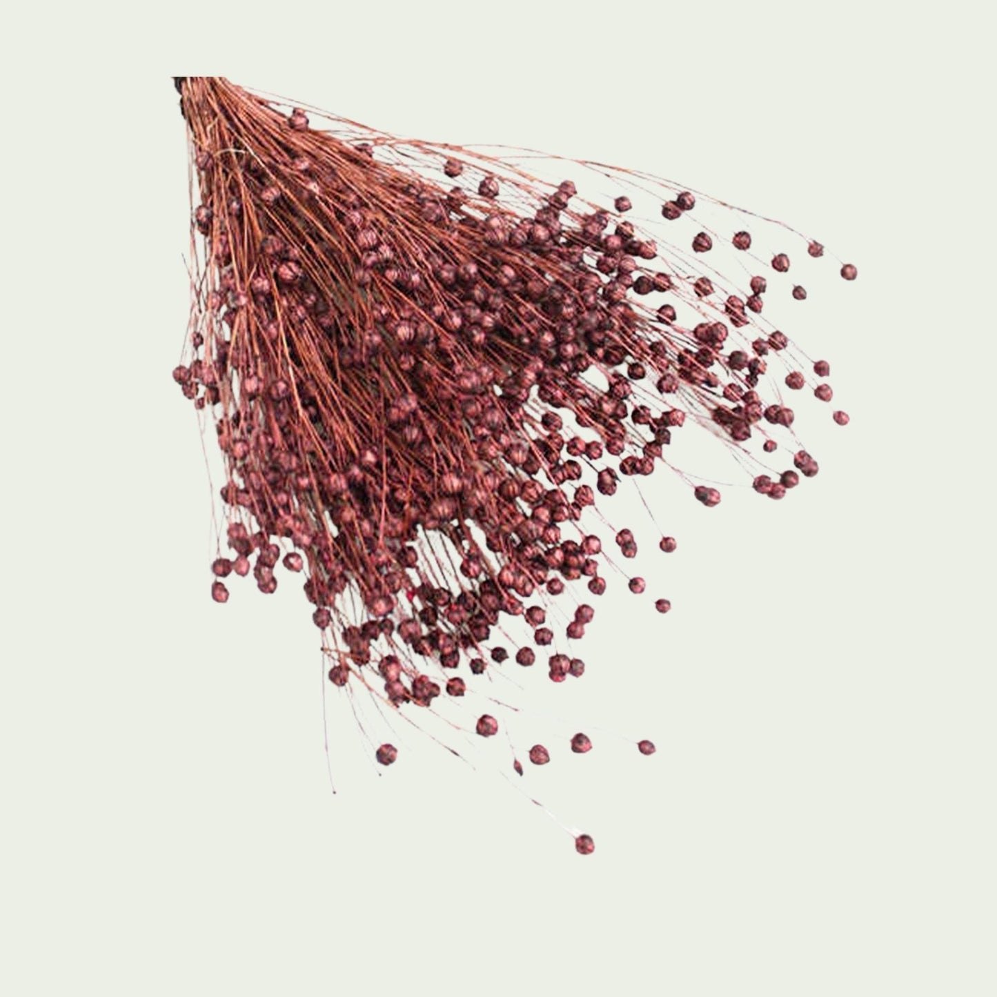Rot-braunes Trockenblumenbündel