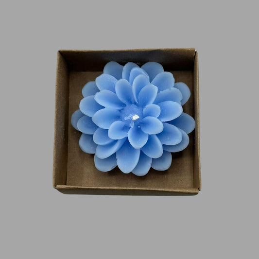 Blütenkerze Blau Geschenkbox